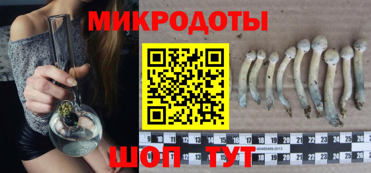 Галлюциногенные грибы MAGIC MUSHROOMS  Галлюциногенные грибы Psilocybe  Белово  Вход с VPN 