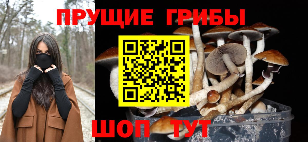 Псилоцибиновые грибы GOLDEN TEACHER Белово